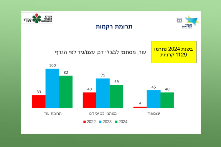 תרומת רקמות