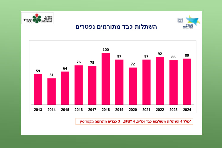 השתלות כבד מתורמים נפטרים