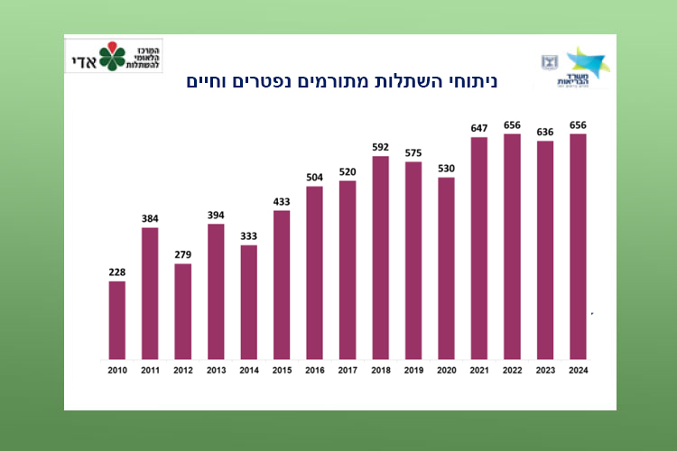 ניתוחי השתלות מתורמים נפטרים וחיים